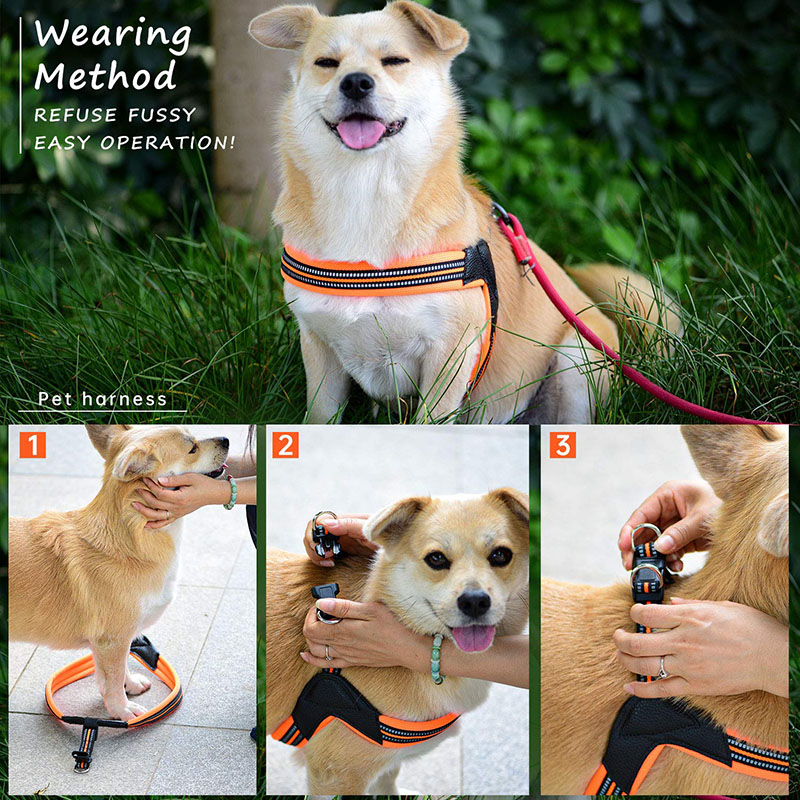 Arnés acolchado transpirable para mascotas con 2 botones ajustables3